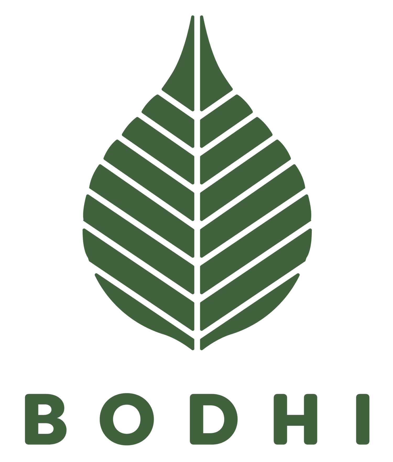 Bodhi Vans logo