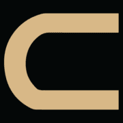 Carrve Custom Vans logo