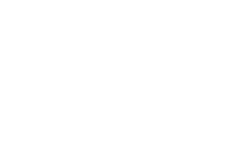 Next Chapter Camper Vans logo