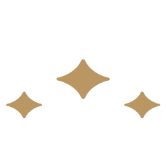 Orion Motors LLC logo