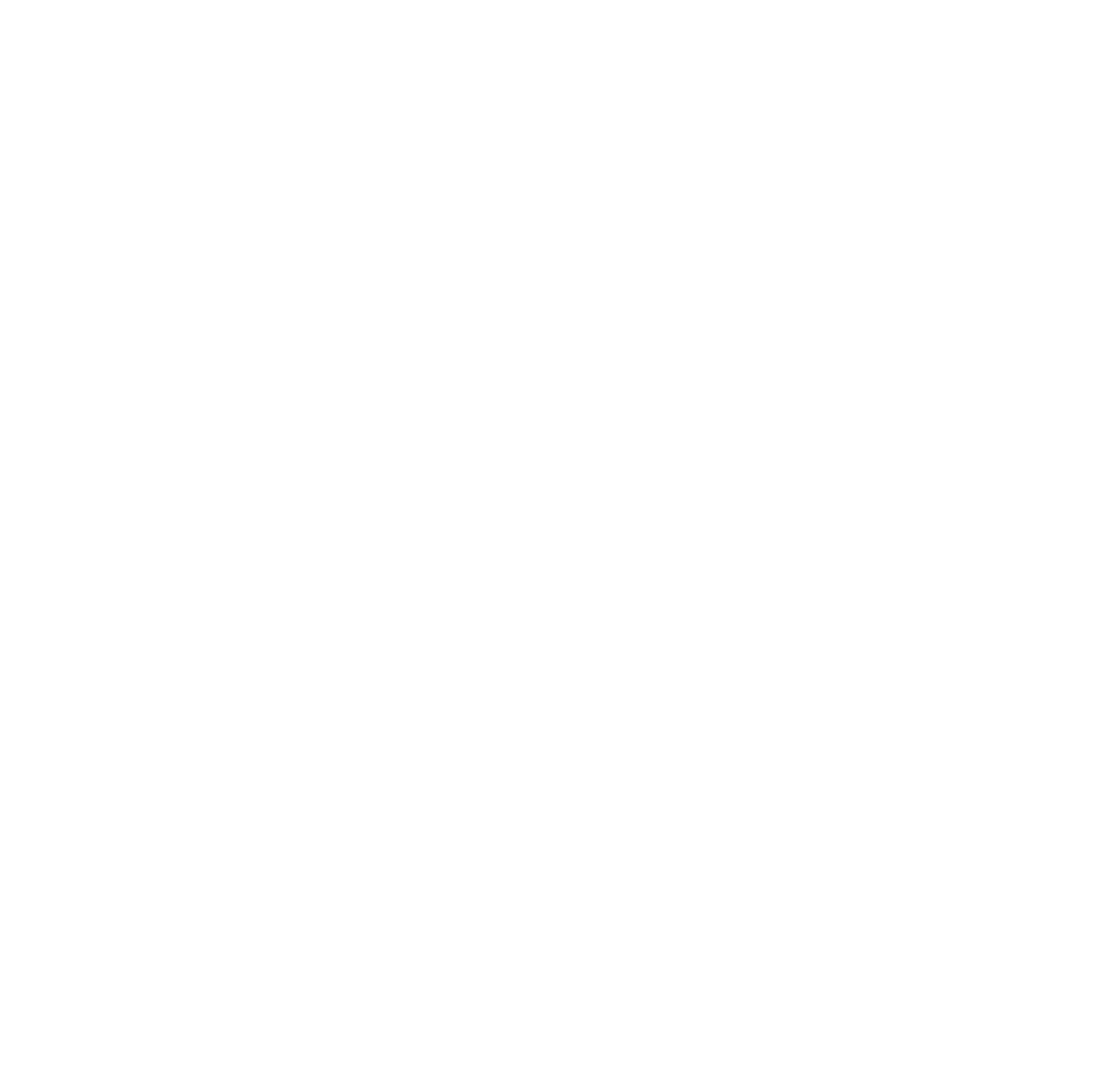 Weekend Vans logo