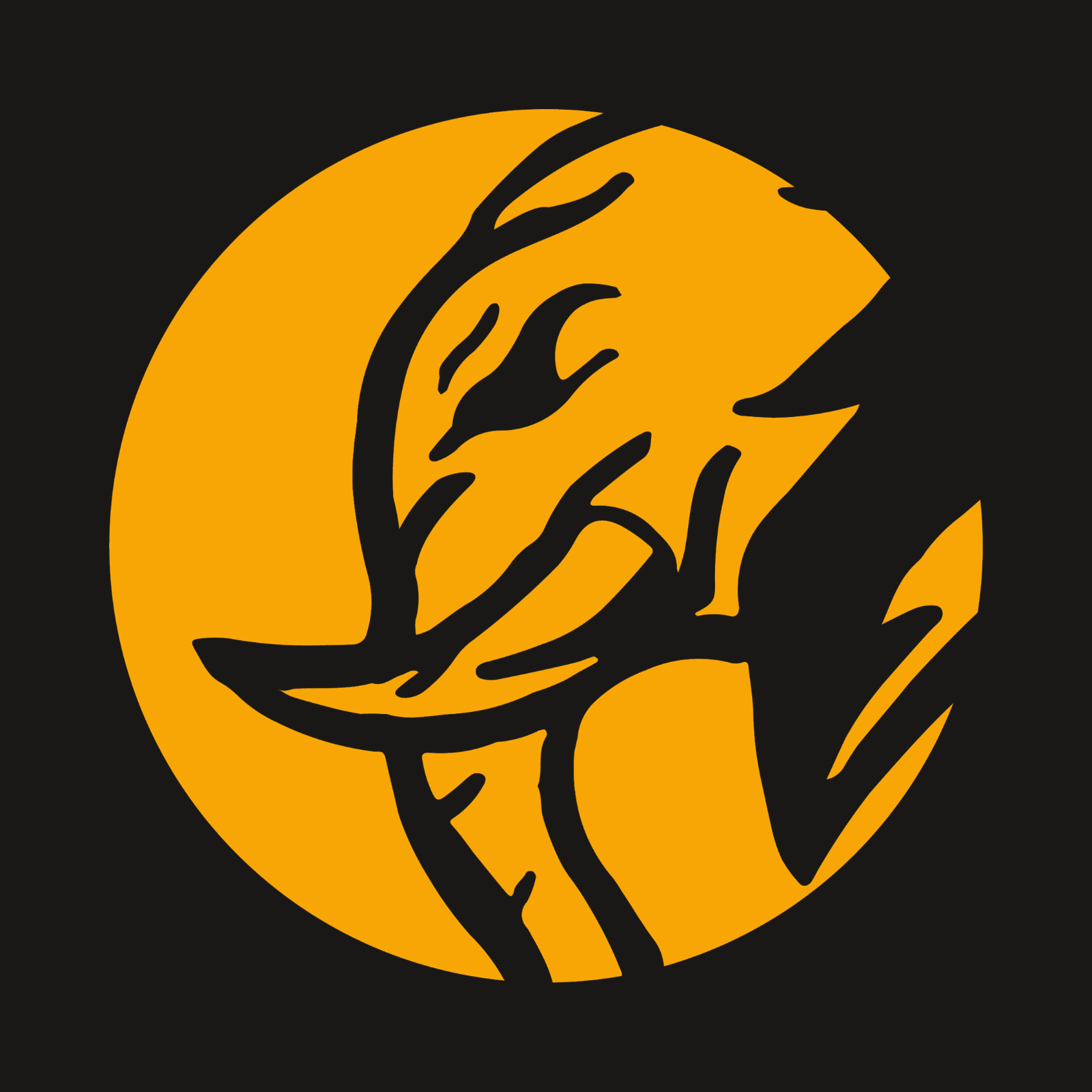 Juggernaut USA - 4x4 Outfitters logo